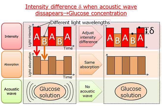 Figure 1: Principle of blood glucose sensor.