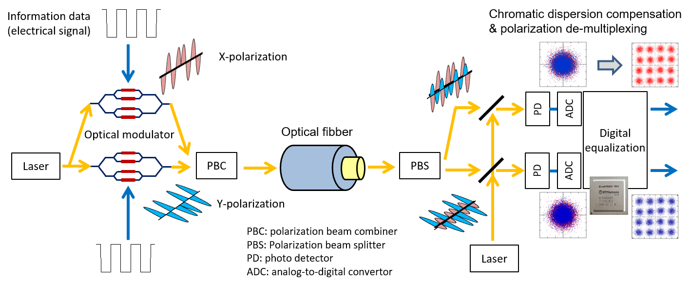 Transport Innovation Laboratory NTT Network Innovation Laboratories