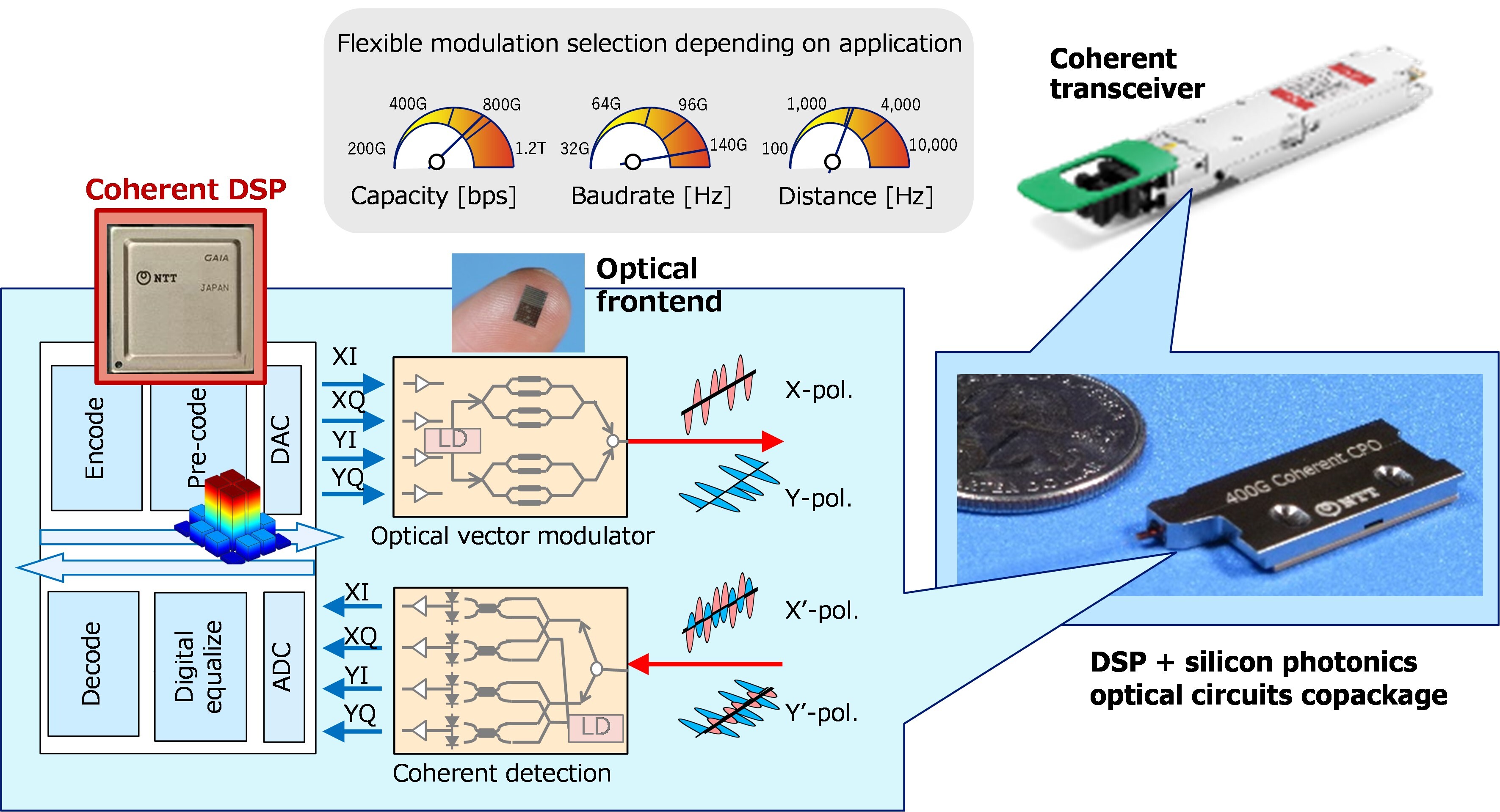 Spp_01_Eng.jpg