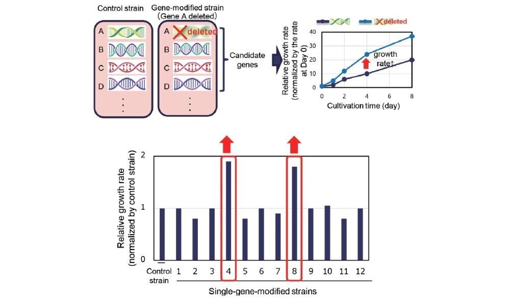 fa5_fig05.jpg