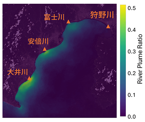 2013年から2024年における駿河湾の河川プルーム出現頻度マップ