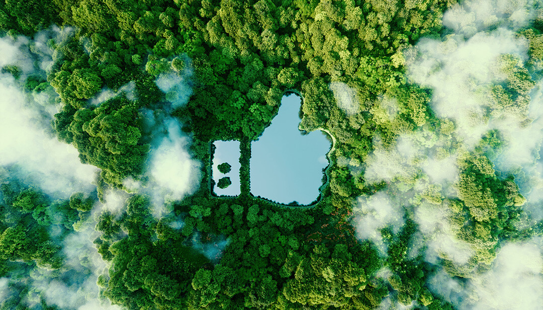 ネイチャーポジティブとは？自然再興と未来適応への道