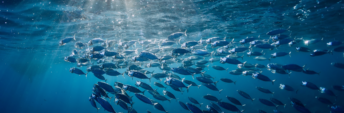 Marine-ecosystem future-forecasting technology for biodiversity conservation
