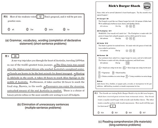 Fig. 3. Examples of problems.