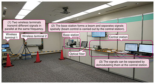 Fig. 4. Setup of exhibition.