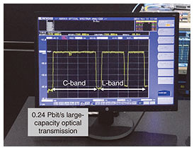 Fig. 2. Optical spectrum of large-capacity transmission system.