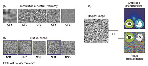 Fig. 3. The illusion of textures that look different but feel the same.