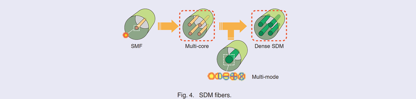 Fig. 4. SDM fibers.
