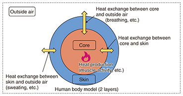 Fig. 4. Calculation model of core-temperature fluctuation.