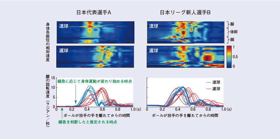 図2打者の身体運動の特徴解析例