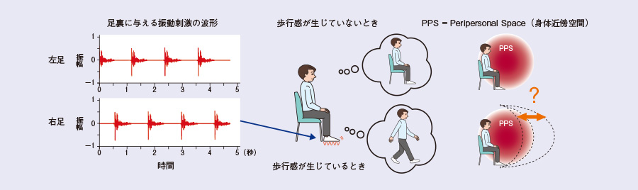 図1　足底への刺激による疑似歩行感と身体近傍空間の関係