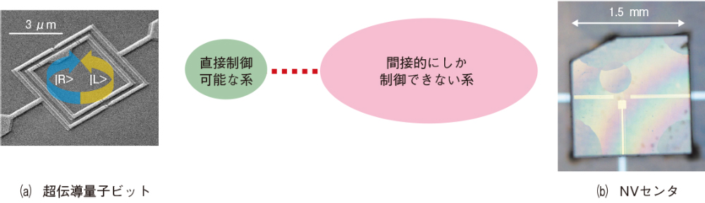 図1　量子的間接制御の例