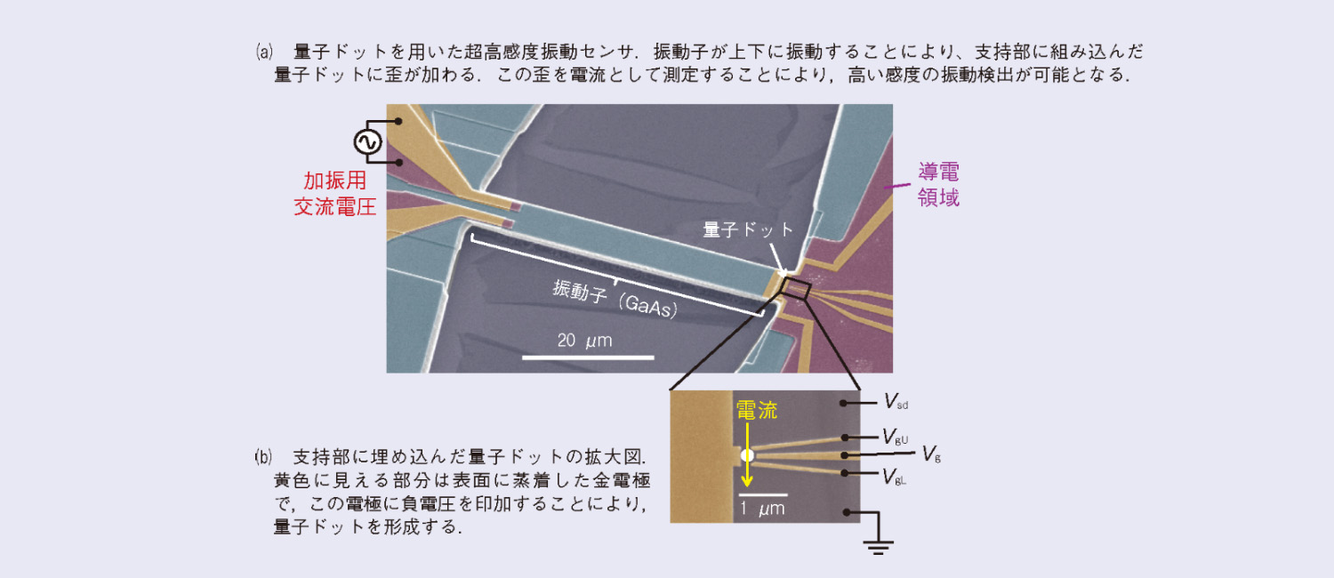 図2　超高感度センサ