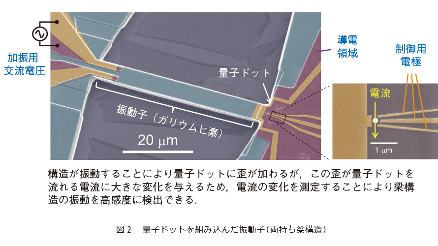 図2　量子ドットを組み込んだ振動子（両持ち梁構造）