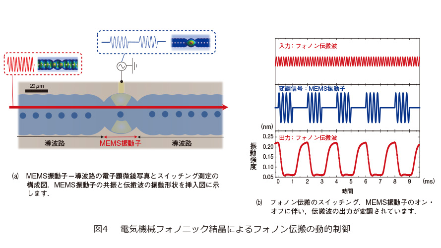 図4　電気機械フォノニック結晶によるフォノン伝搬の動的制御