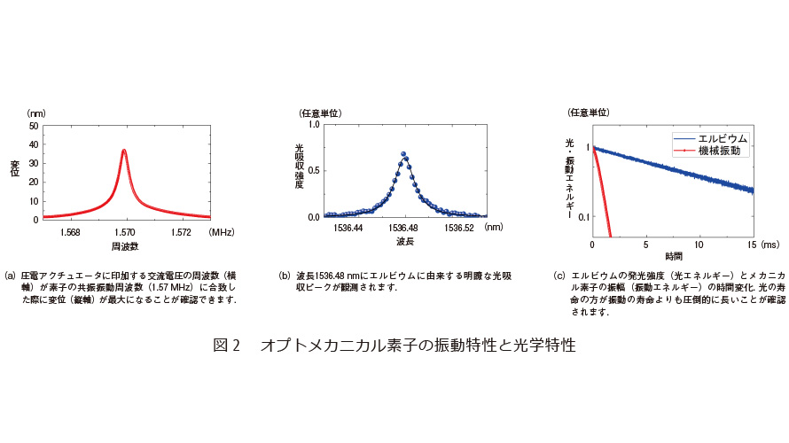 図2　オプトメカニカル素子の振動特性と光学特性