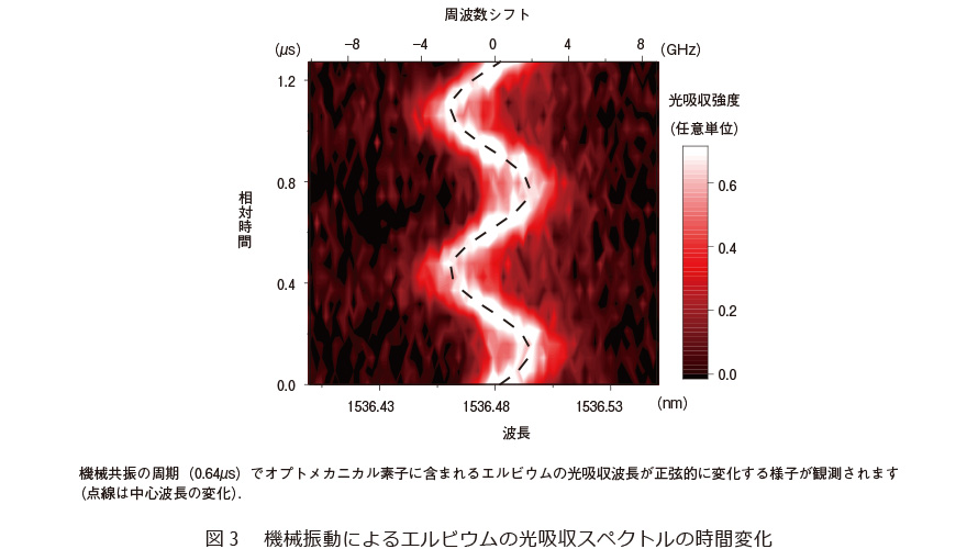 図3　機械振動によるエルビウムの光吸収スペクトルの時間変化
