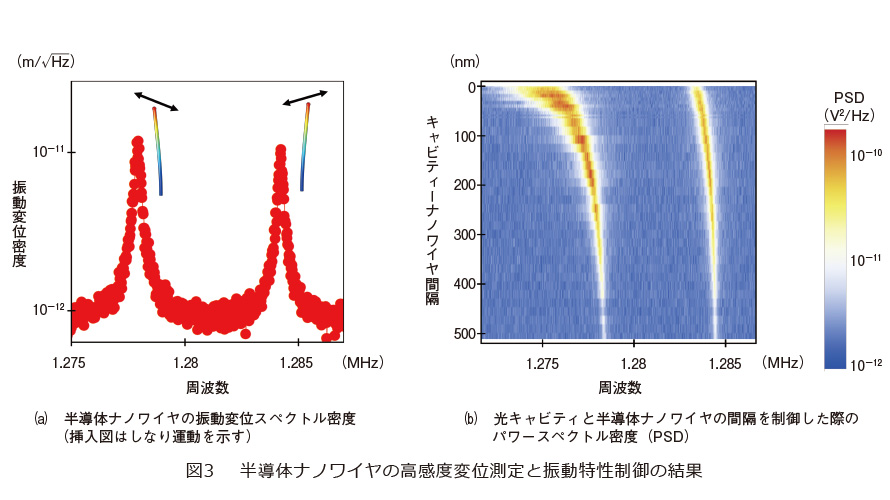図3　半導体ナノワイヤの高感度変位測定と振動特性制御の結果