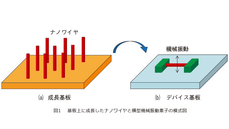 図1　基板上に成長したナノワイヤと横型機械振動素子の模式図