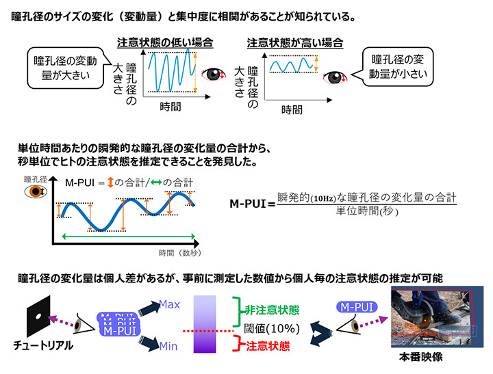 瞳孔の変化に基づく内面状態推定