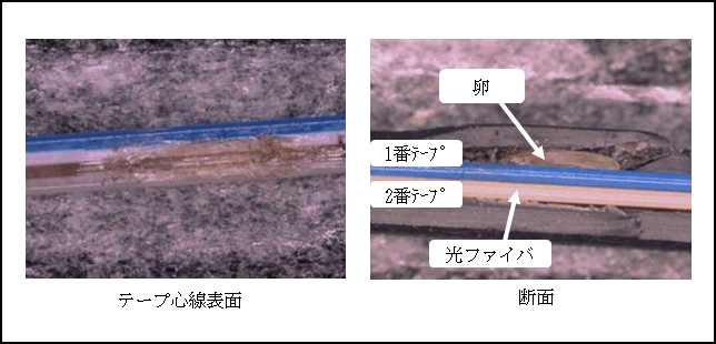 図３　断線箇所の損傷状況