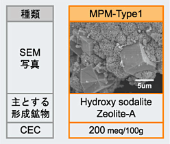  図２　ＭＰＭ&minus;Ｔｙｐｅ１