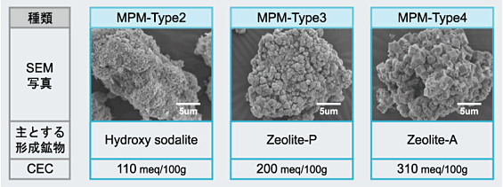 図３　ＭＰＭ&minus;Ｔｙｐｅ２，ＭＰＭ&minus;Ｔｙｐｅ３，ＭＰＭ&minus;Ｔｙｐｅ４