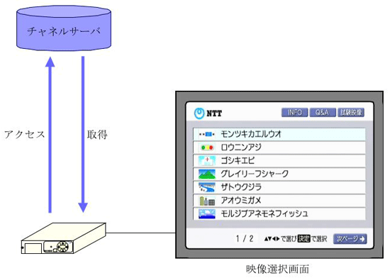 図5　映像選択画面