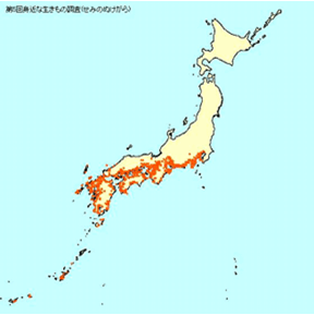 図１　クマゼミの生息分布図