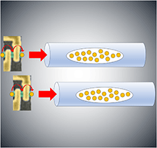 理論量子物理研究グループ｜NTT物性科学基礎研究所｜NTT R&D Website
