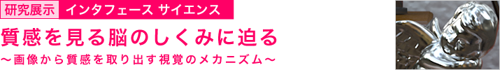 質感を見る脳のしくみに迫る　～画像から質感を取り出す視覚のメカニズム～