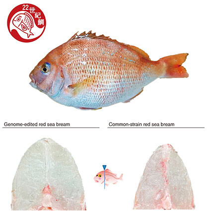 fa1_fig02.jpg