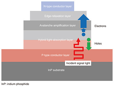 fa1_fig02.jpg