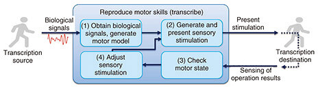 ri1_fig02.jpg