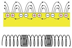fa1_fig01.jpg