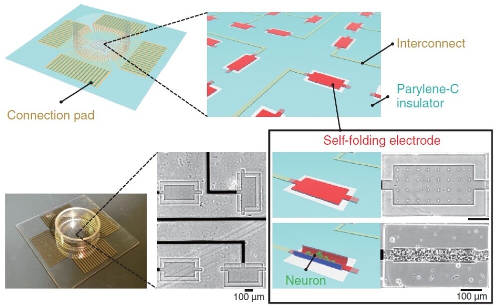 03-03_Fig4.jpg