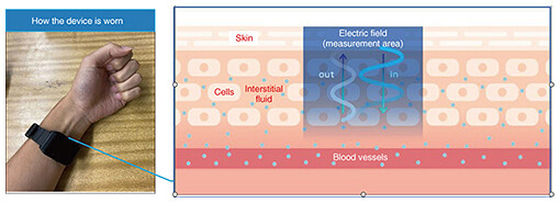 fa1_fig04.jpg