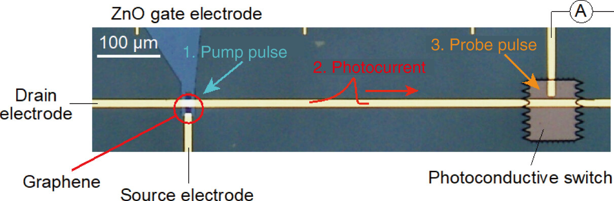 Fig_02.jpg