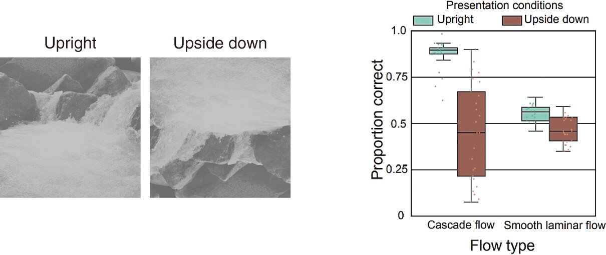 Fig_04.jpg