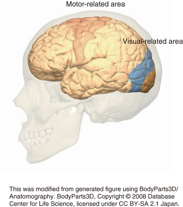 Fig_01.jpg