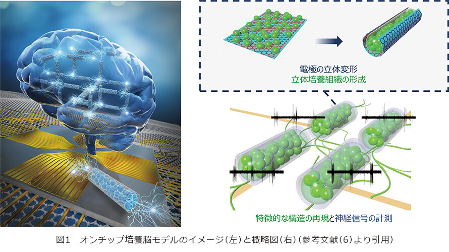 795316b92fc766b0181f6fef074f03fa-1.jpg