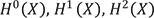 H⁰(X),H¹(X),H²(X)