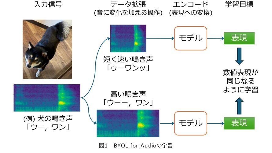 音の聴き方を自ら学ぶAI――自己教師あり学習によるさまざまな音の汎用