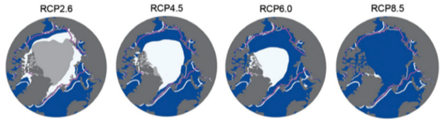 ピンクの線...20世紀末に観測された海氷域面積（画像出典：IPCC『IPCC Fifth Assessment Report』北半球の海氷域面積（9月）の将来変化。白く塗りつぶされた部分は21世紀末の平均）