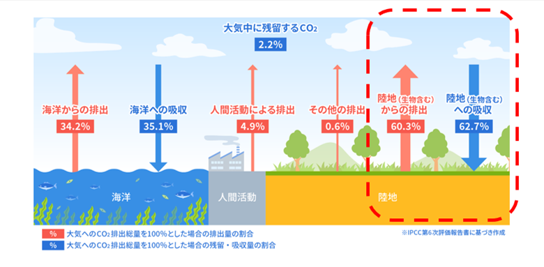 大気中に残留するCO2