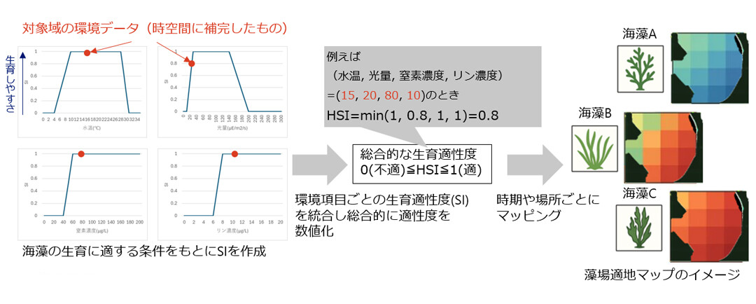 ある海藻を例として環境条件によって異なる生育適性を示したもの