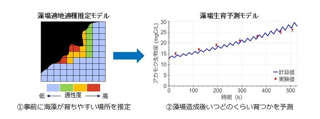 藻場生育予測技術における出力結果のイメージ